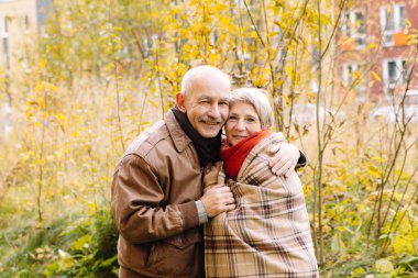 Doğa Sonbahar ormandaki mutlu güzel üst düzey çift güzel bir eski çifte portresi