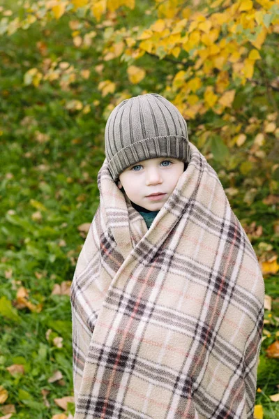 Ładny Mały Chłopiec Zawinięte Koc Portret Ładny Mały Chłopiec Jesienią — Zdjęcie stockowe