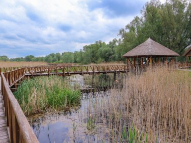 Kopacki Rit, Hırvatistan 'ın kıta bölgesi Slavonija' da yer alan engin Drava nehir bölgesindeki muazzam bataklık, çayırlık ve ormanlık alanı sular altında bıraktı.                  