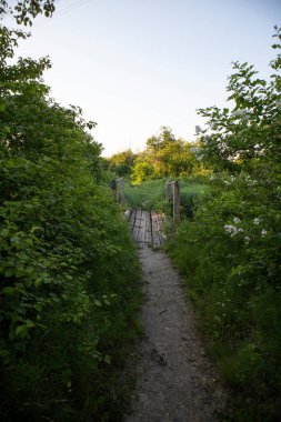 Eski, tenha ahşap bir köprü, bataklık ormanının üzerinde, ısınma tesisi yakınında, Zagreb 'in varoşlarında güzel bir eko sistemi var.