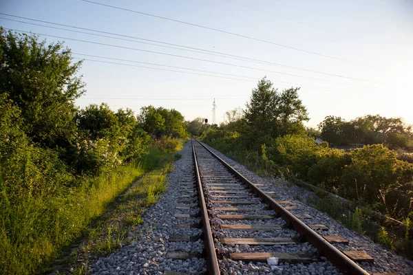 Vecchi Binari Ferroviari Che Attraversano Paesaggio Dei Boschi Vicino Alla — Foto Stock