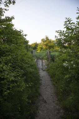 Eski, tenha ahşap bir köprü, bataklık ormanının üzerinde, ısınma tesisi yakınında, Zagreb 'in varoşlarında güzel bir eko sistemi var.