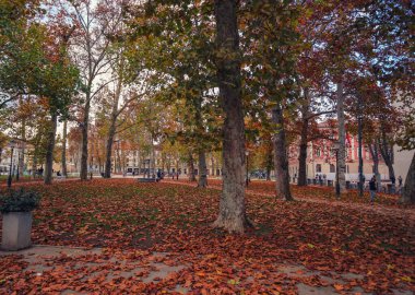 Ljubljana şehir parkı sonbahar mevsimi boyunca dökülen yapraklarla kaplıydı.
