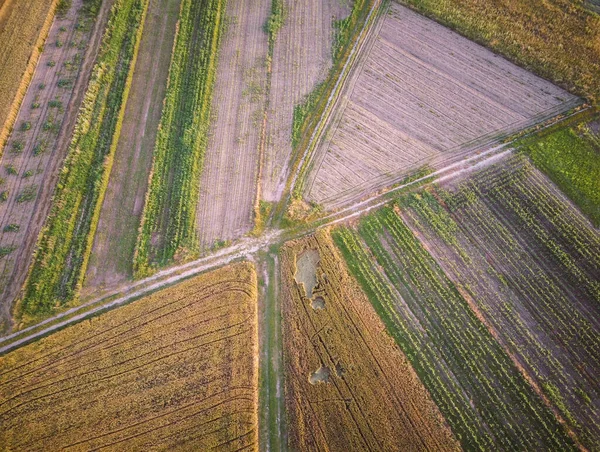Vista Aérea Del Campo Arado Área Cultivada Cerca Del Terraplén — Foto de Stock