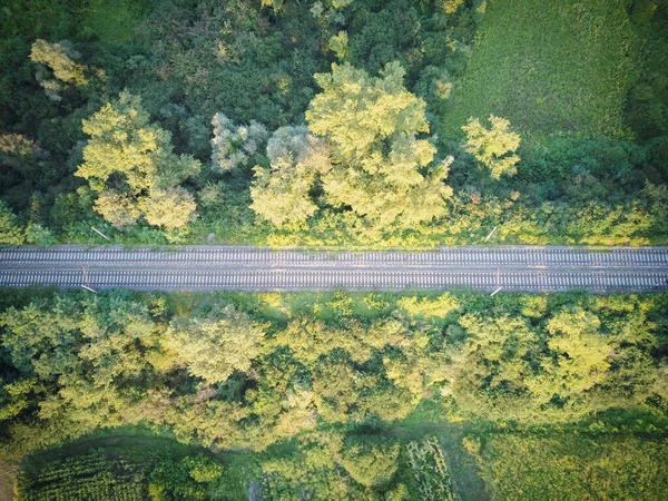 Vecchia Ferrovia Isolata Nel Verde Area Forestale Fotografata Dall Alto — Foto Stock