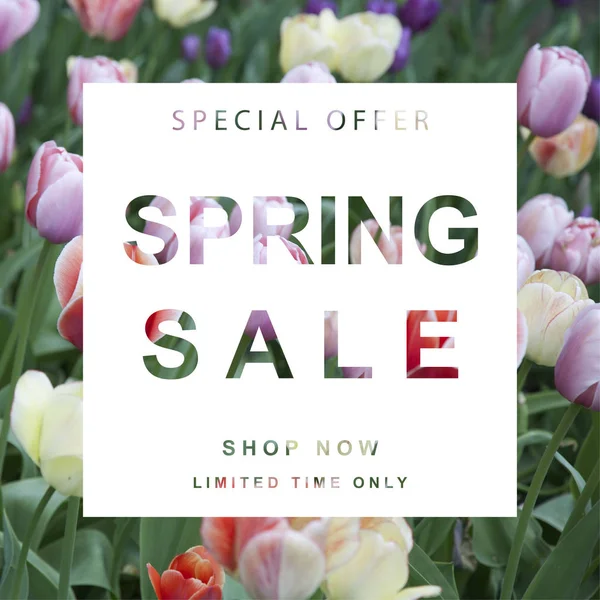 spring sale template on flower background