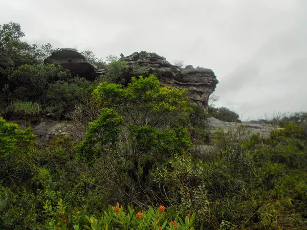 Guartel Kanyonu Brezilya Nın Campos Gerais Platosunda Yer Alan Bir — Stok fotoğraf