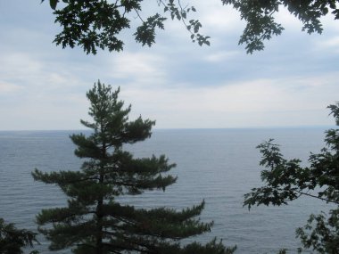 göl üstü ağaçlar bulutlu gün