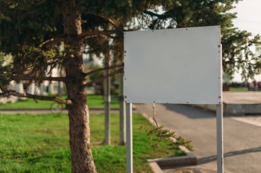 Ormanın içinde boş yol işareti