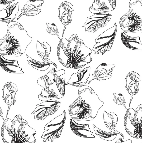 美丽的矢量黑白图案 花朵和罂粟叶 — 图库矢量图片