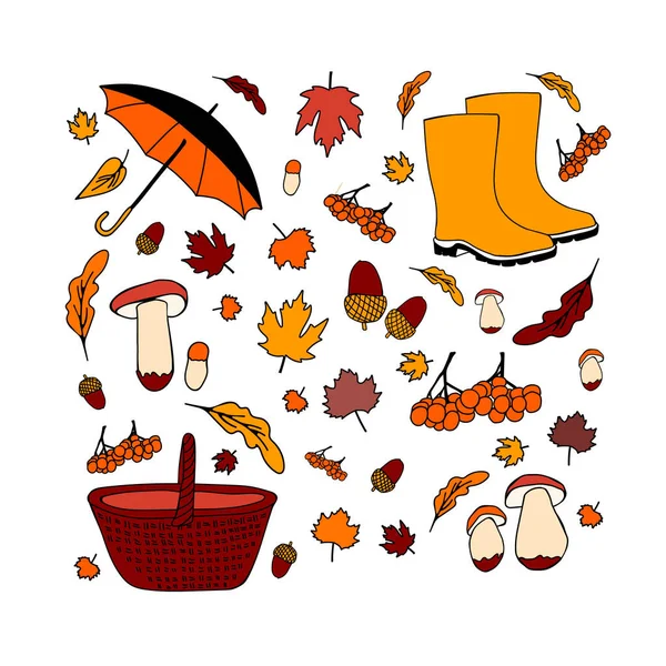 Vector Cartoon Style Set Autumn Forest Symbols Leaves Mushrooms Basket — Stock Vector