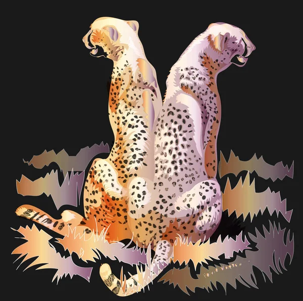 Vector Illustration Two Cheetahs Isolated Black Background — Stock Photo, Image