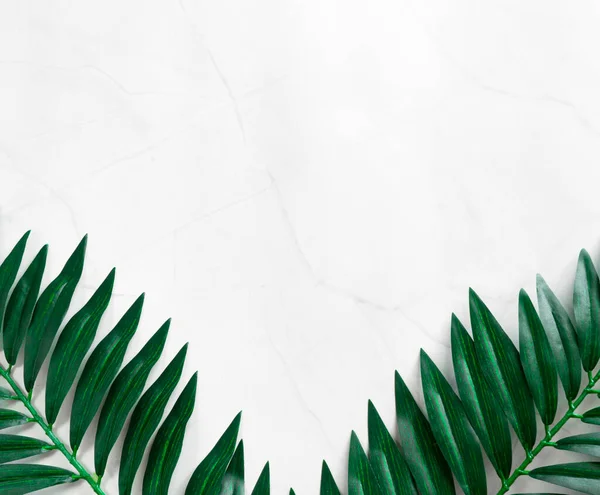 Beyaz mermer arka planda renkli tropikal yaprakların yaratıcı düzeni. Kopya alanı ile minimalist yaz egzotik kavramı.