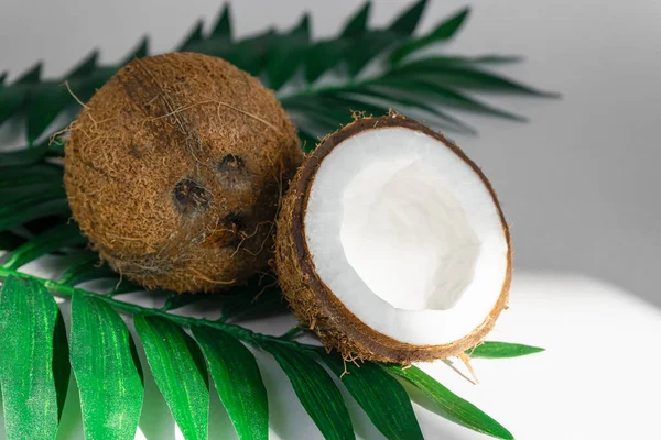 Kokosnüsse Und Tropische Blätter Auf Weißem Hintergrund Der Strahlenden Sonne — Stockfoto