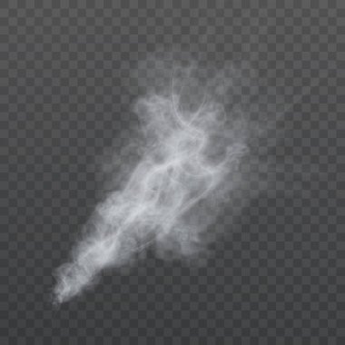 Şeffaf arkaplan üzerinde gerçekçi girdap etkisi olan beyaz duman bulutu. Sihirli büyüler, sis örtüleri, fantezi tasarımı, yangın veya patlama etkileri için soyut sis ve buhar dokusu.