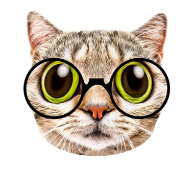 Gözlüklü İngiliz kedisi