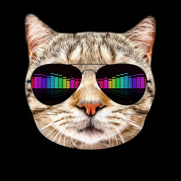 İngiliz kedisi. Gözlükle dengeleyici