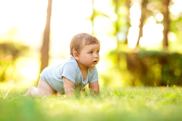 穿着白色紧身衣的可爱小男孩学会了爬行 健康的幼儿在绿草上爬行 — 图库照片