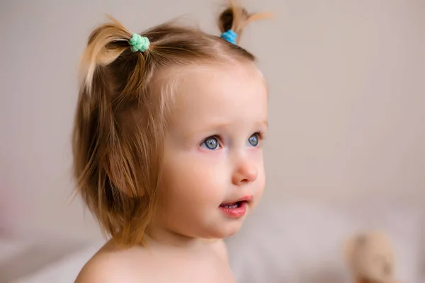 Retrato Niña Con Dos Bollos Sobre Fondo Gris Claro —  Fotos de Stock