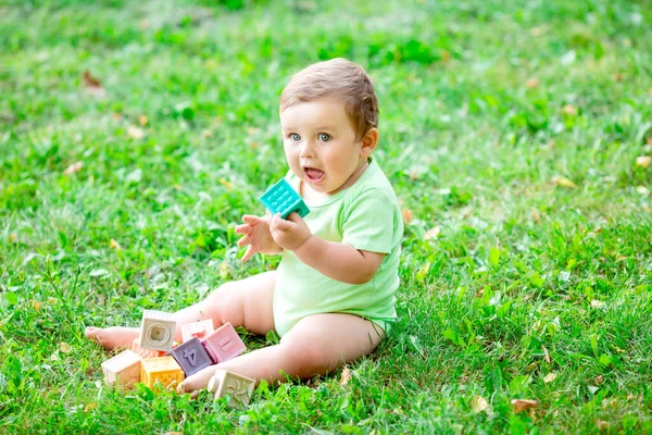 穿着绿色紧身衣的可爱孩子坐在草地上 玩着长跑的立方体玩具 1年以下儿童发展概念 — 图库照片