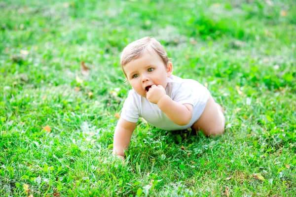 Cute little boy in white bodysuit learns to crawl. Healthy toddler crawls on green grass in summer