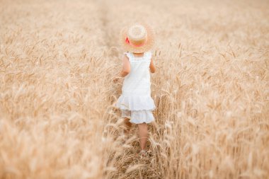 Hasır şapkalı sevimli küçük kız güneşli bir günde buğday tarlasında oynuyor.