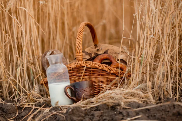 Фото Корзины Свежего Хлеба Банкой Молока Пшеничном Поле — стоковое фото
