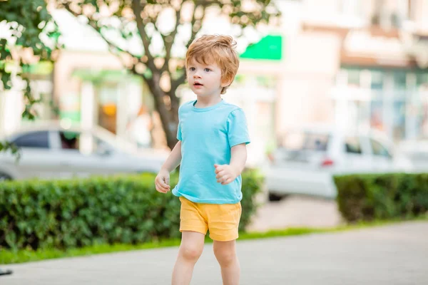Щасливий Маленький Хлопчик Синій Футболці Прогулюється Літньому Парку Розваг Концепція — стокове фото