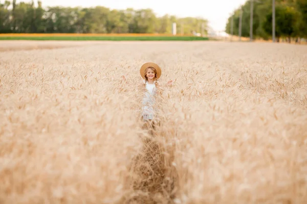 Adorable Little Girl Straw Hat Plays Wheat Field Warm Sunny — Stock Photo, Image