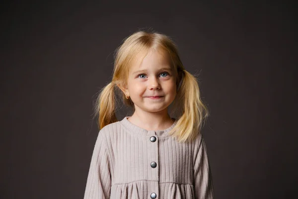 Menina Bonito Vestido Cinza Estúdio — Fotografia de Stock