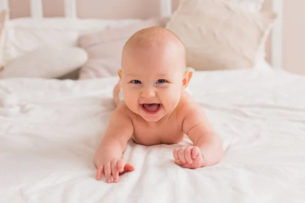 Lindo Pequeño Bebé Chico Retrato — Foto de Stock