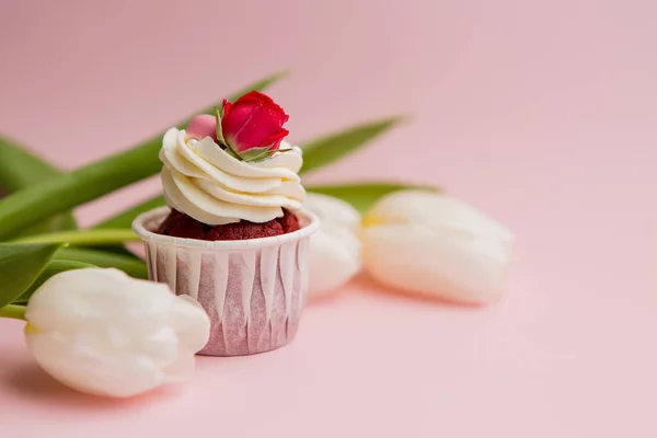 Cupcake Rose Close View — Stock Photo, Image