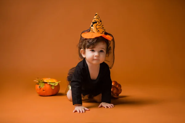 Schattig Klein Meisje Dragen Halloween Concept — Stockfoto