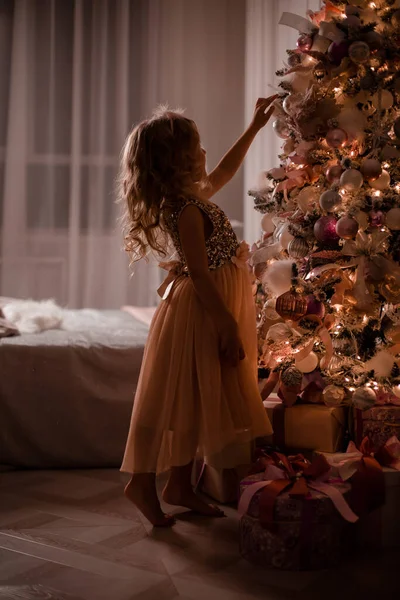 크리스마스 장식용 나무에 귀여운 — 스톡 사진