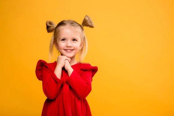 Милий Маленька Щаслива Дівчинка Позує Студії — стокове фото