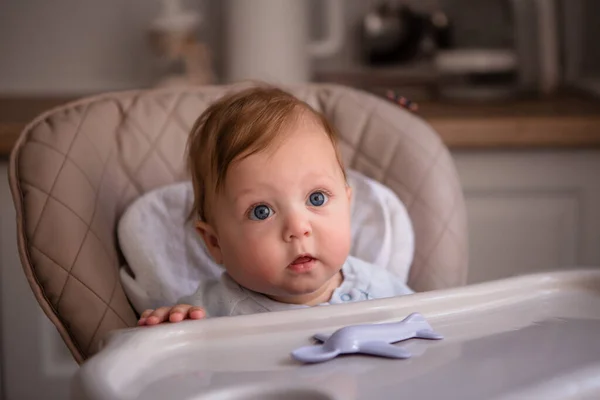 Lindo Pequeño Retrato Bebé — Foto de Stock