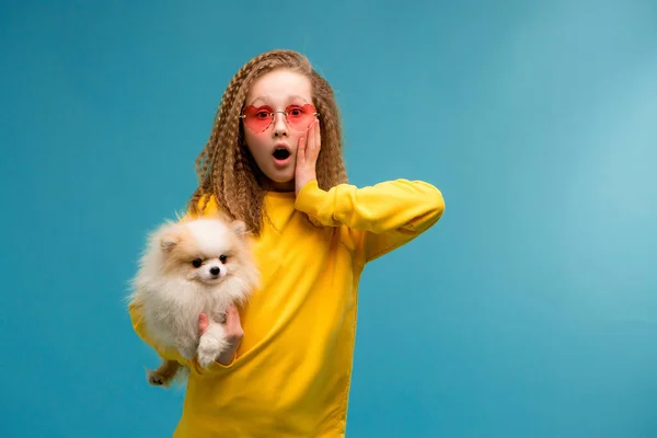 Bonito Menina Óculos Sol Com Engraçado Pouco Cão — Fotografia de Stock