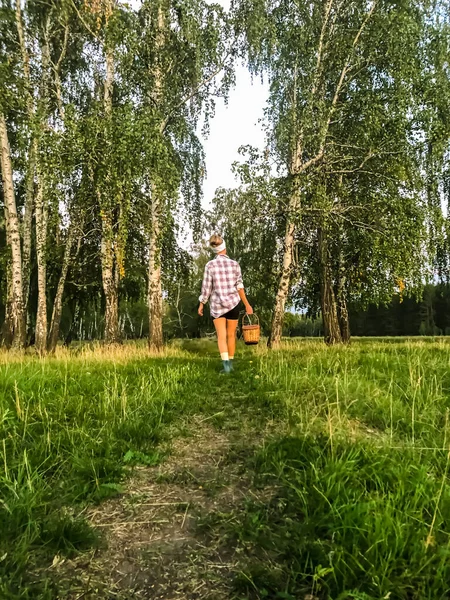 Aard Van Rusland Schoonheid Van Het Natuurlijke Exclusieve Uitgifte — Stockfoto