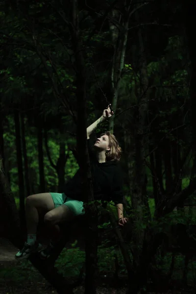 Güneş yukarıdan bir işaret olarak