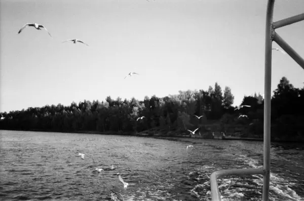 35 mm 'lik beleş uçuş.