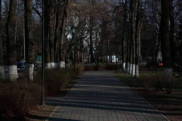 Günışığında bahar geometrisi