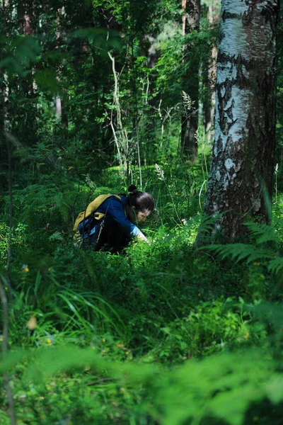 Ormanda geçirilen zaman