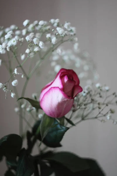 Bir bokeh içinde yükseldi