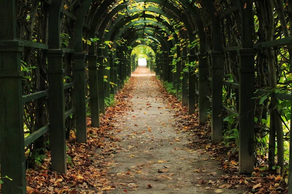 Yeşillikle örülmüş kemer