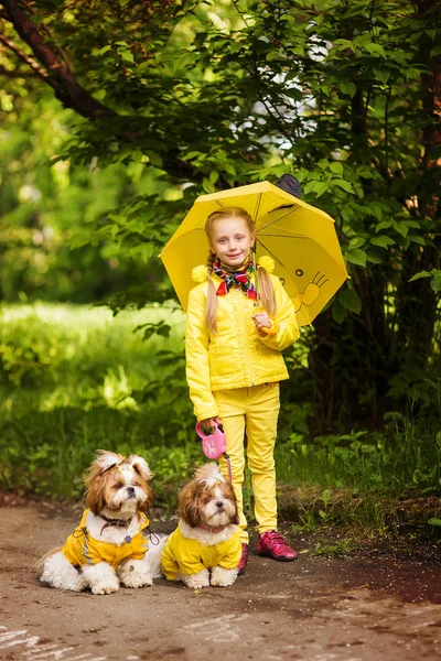 Menina Doce Casaco Amarelo Sob Guarda Chuva Com Cães Andando — Fotografia de Stock