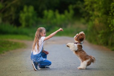 sevimli küçük kız oynama ve yaz aylarında parkta küçük bir köpek eğitim