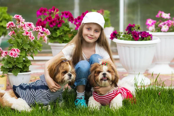 Girl hugging two dogs on the lawn on a background of flowers