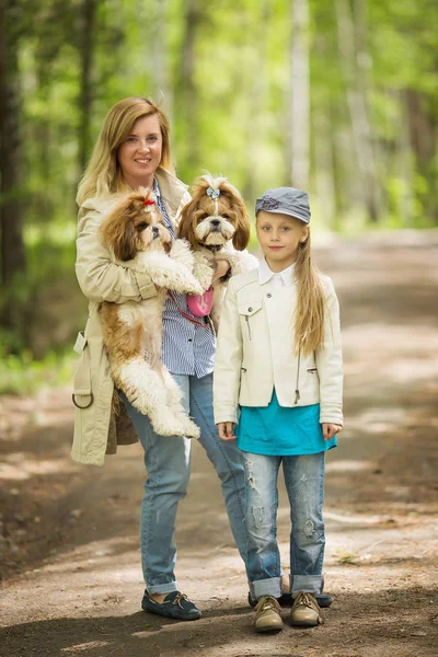 Mama Córka Spaceru Parku Samym Dwa Psy Shih Tzu — Zdjęcie stockowe