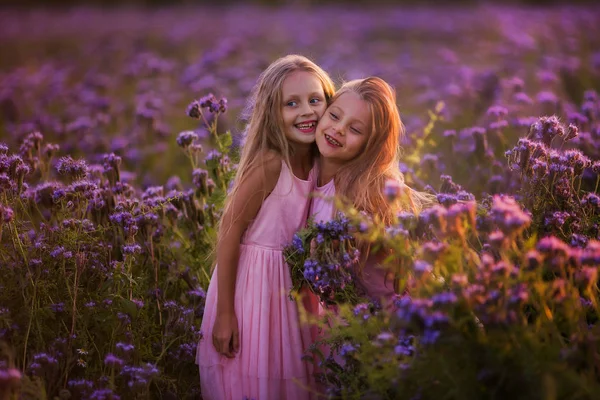 Duas Meninas Bonitas Com Cabelos Longos Campo Florescente Pôr Sol — Fotografia de Stock