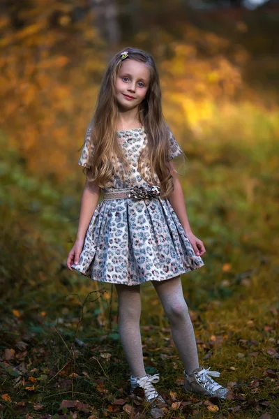 Портрет Маленькой Девочки Платье Длинными Волосами Фоне Осеннего Леса Смотрящей — стоковое фото